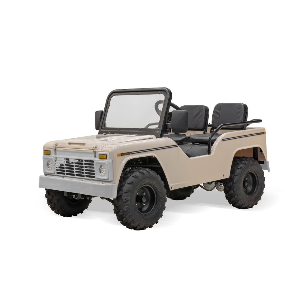 Mini Truck