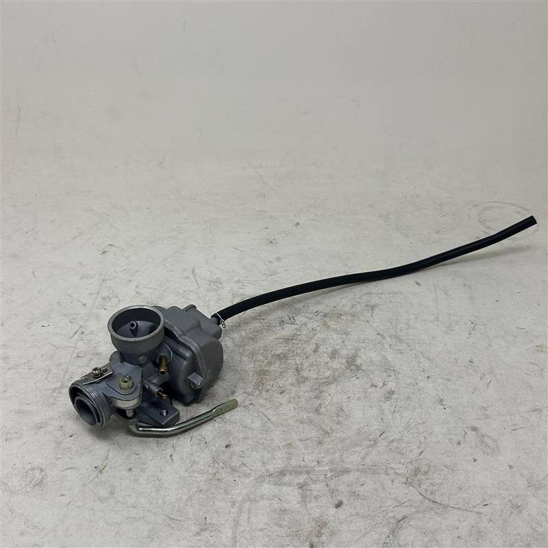 01.02.01.320 Carburettor