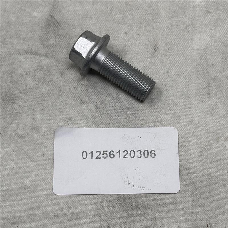 01256120306 Hexagon Flange Bolt