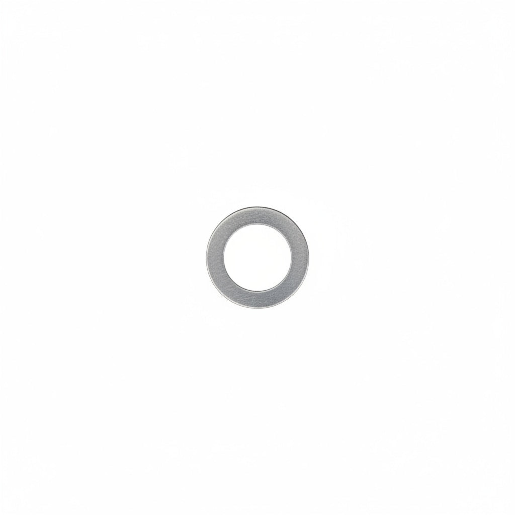 0800-022002 WASHER 12.3x18.5x0.5