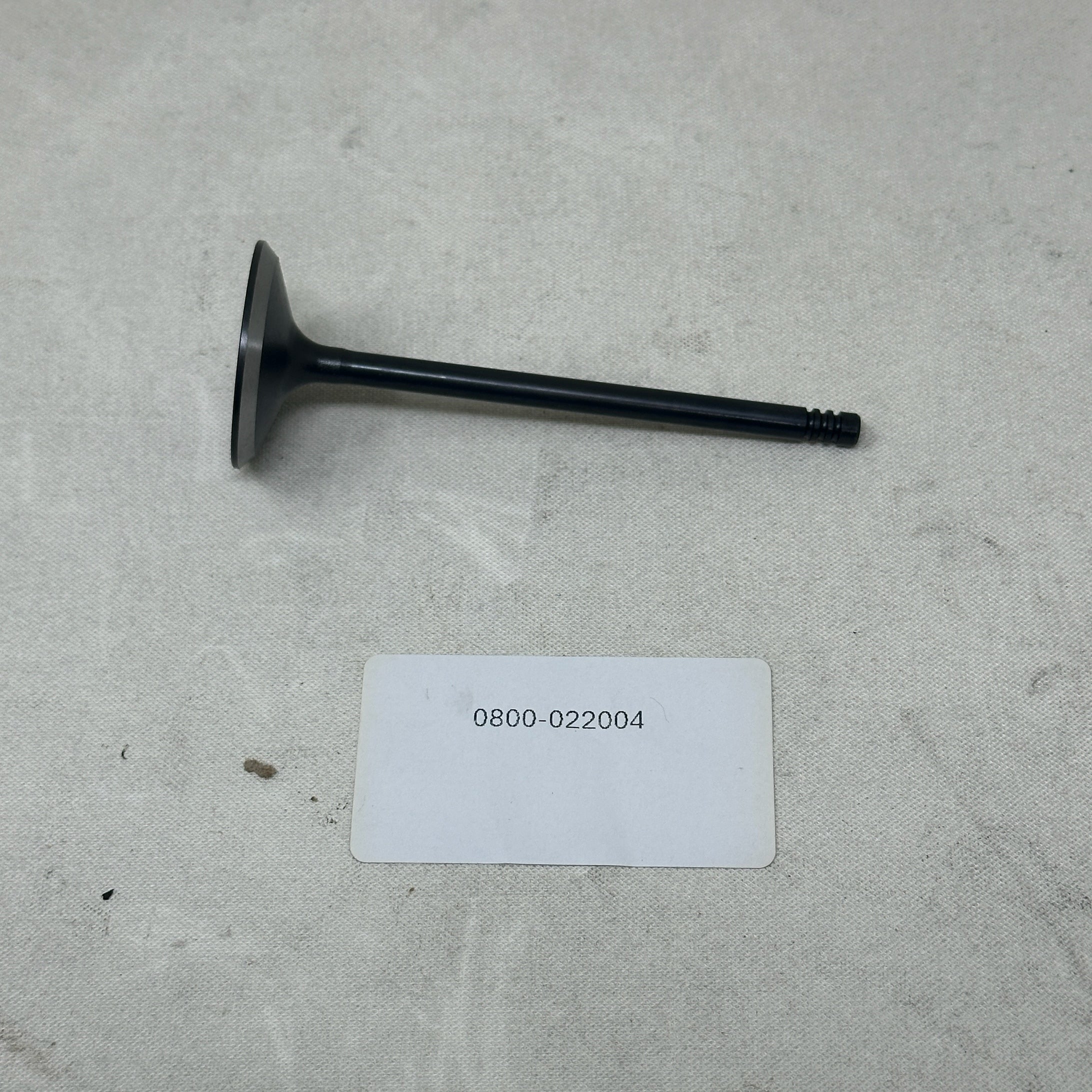 0800-022004 VALVE, INTAKE