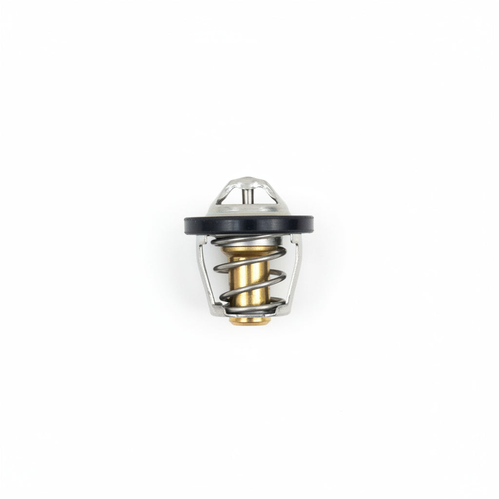 0800-022700 THERMOSTAT