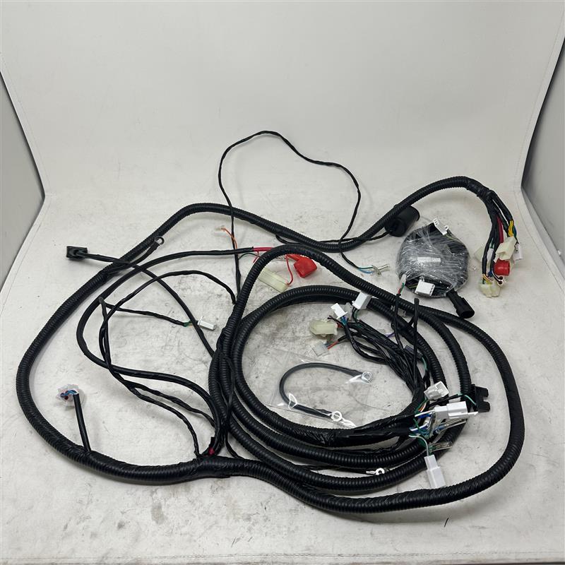 8010023 Main Electrical Wiring Harness