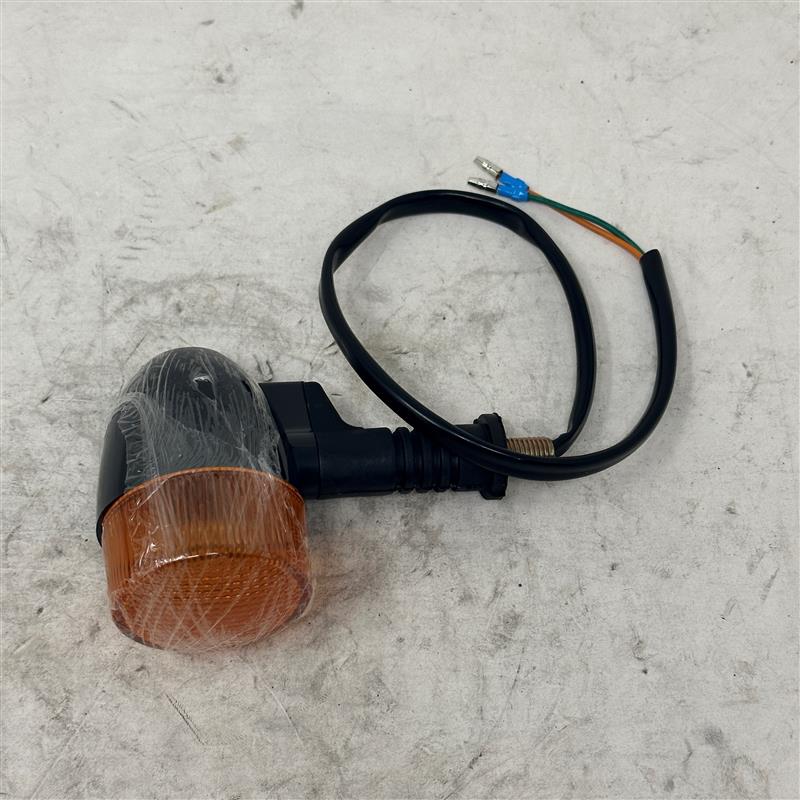 9020086 Rear Left Turn Signal Light