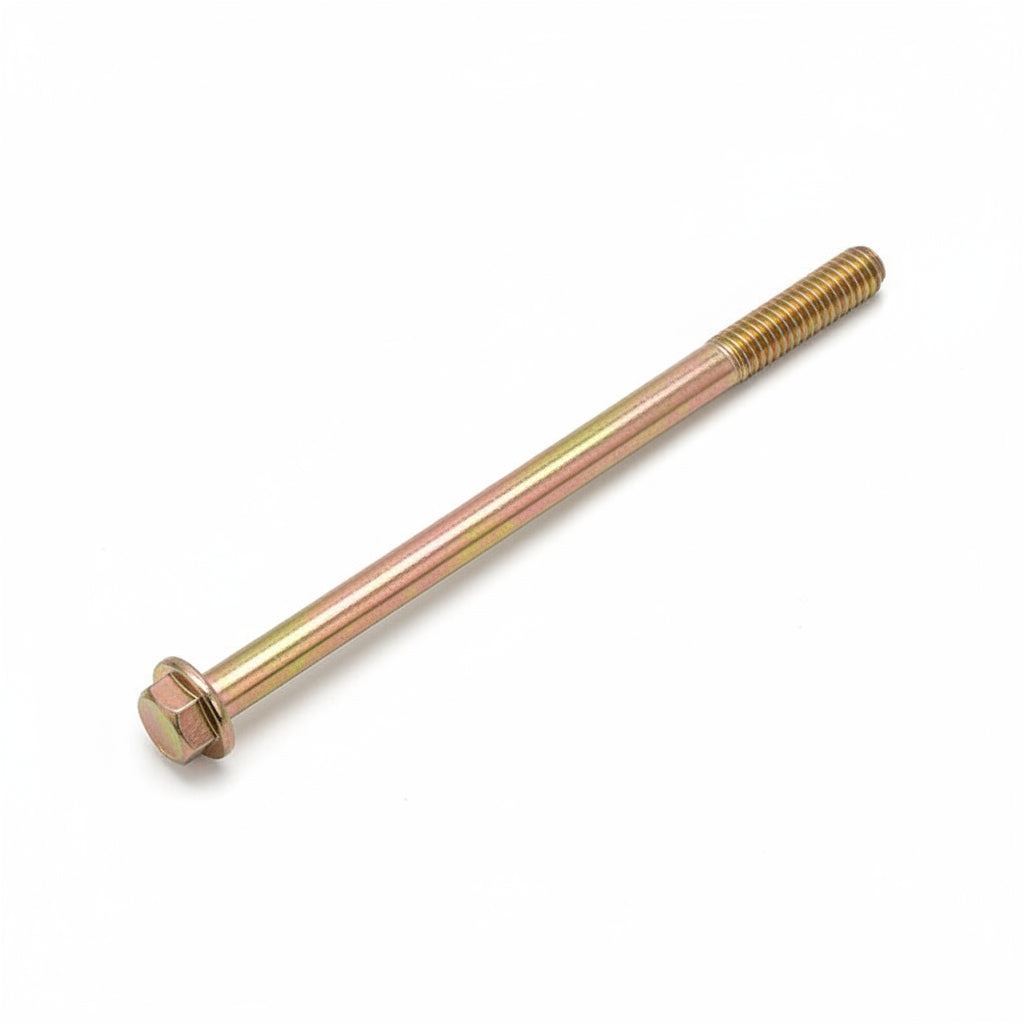 1.05.01.09.06100 Bolt M6x100