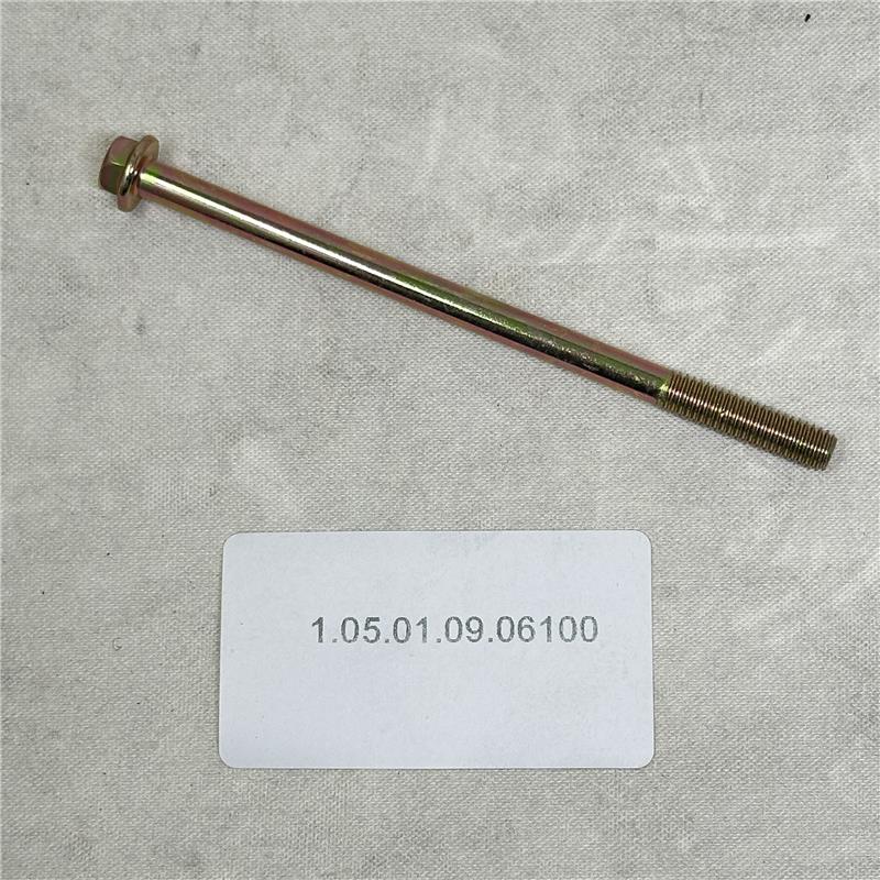 1.05.01.09.06100 Bolt M6x100