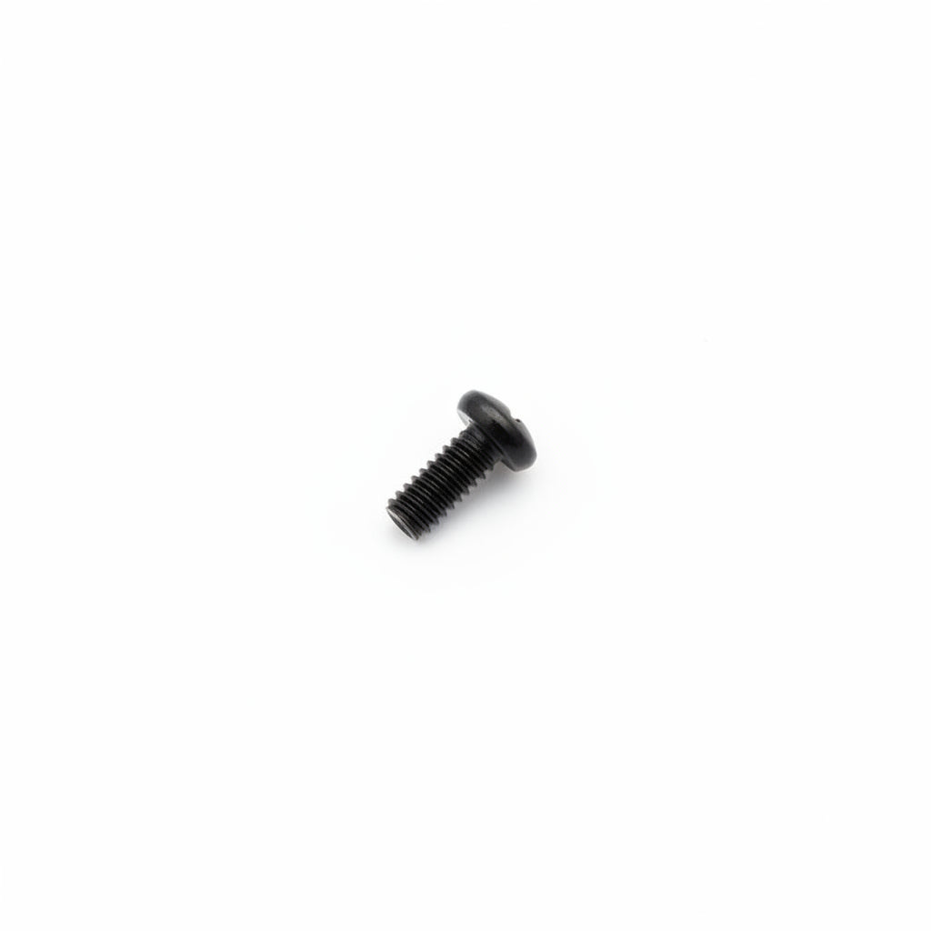 10001 SCREW  M5X12