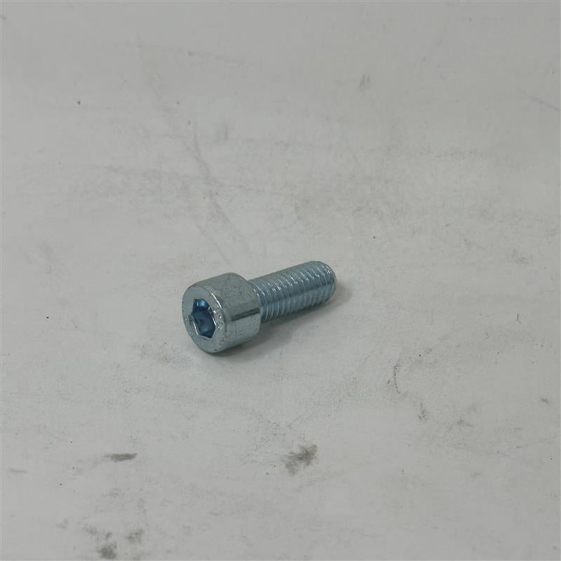 10008G Bolt Socket Head M6X20