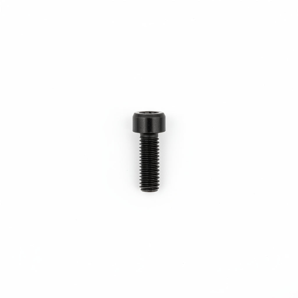 10008 M6 x 20mm Socket Head Bolt