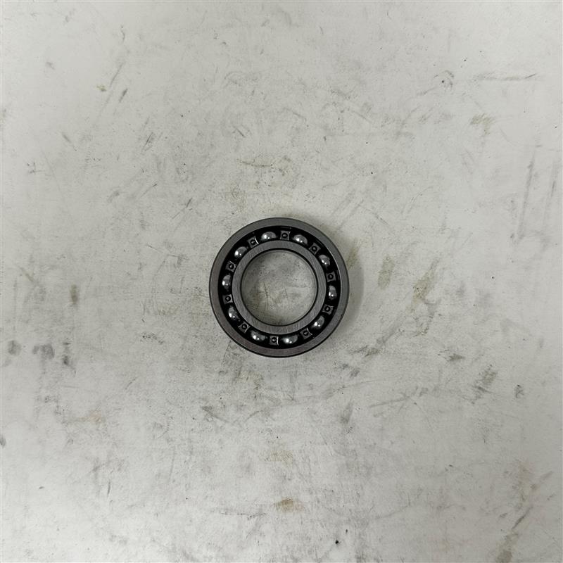 10012 Bearing (6005/P5)