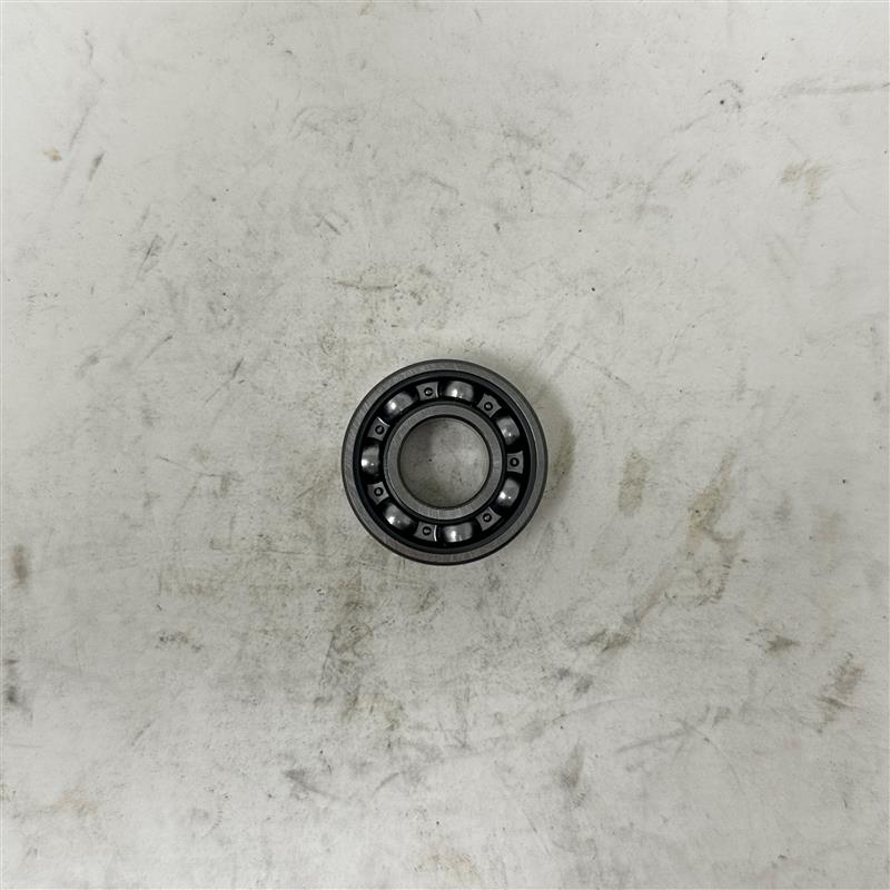10013 Bearing (6202Z)