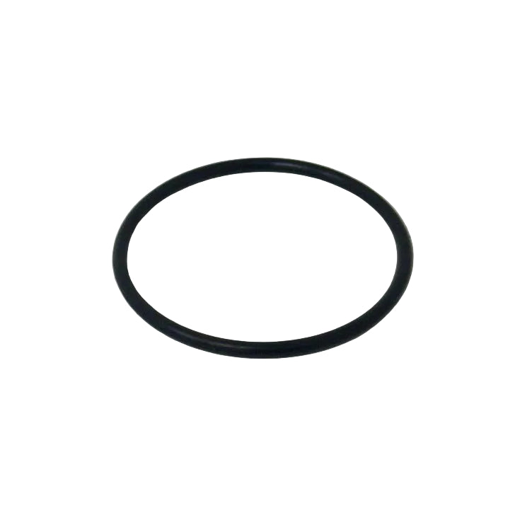 10039 O-RING 46.5X2.65