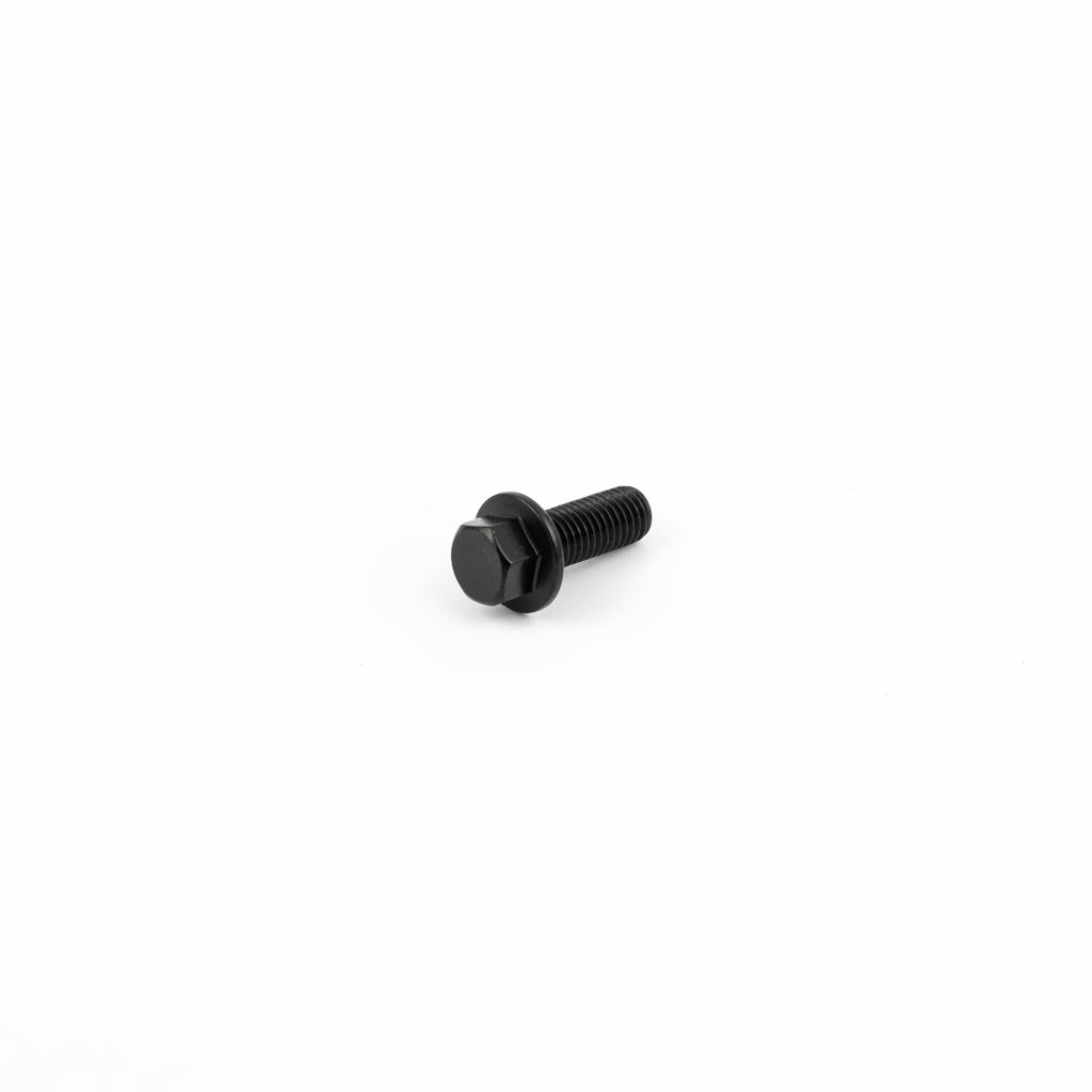 10081 M8 x 20mm Bolt