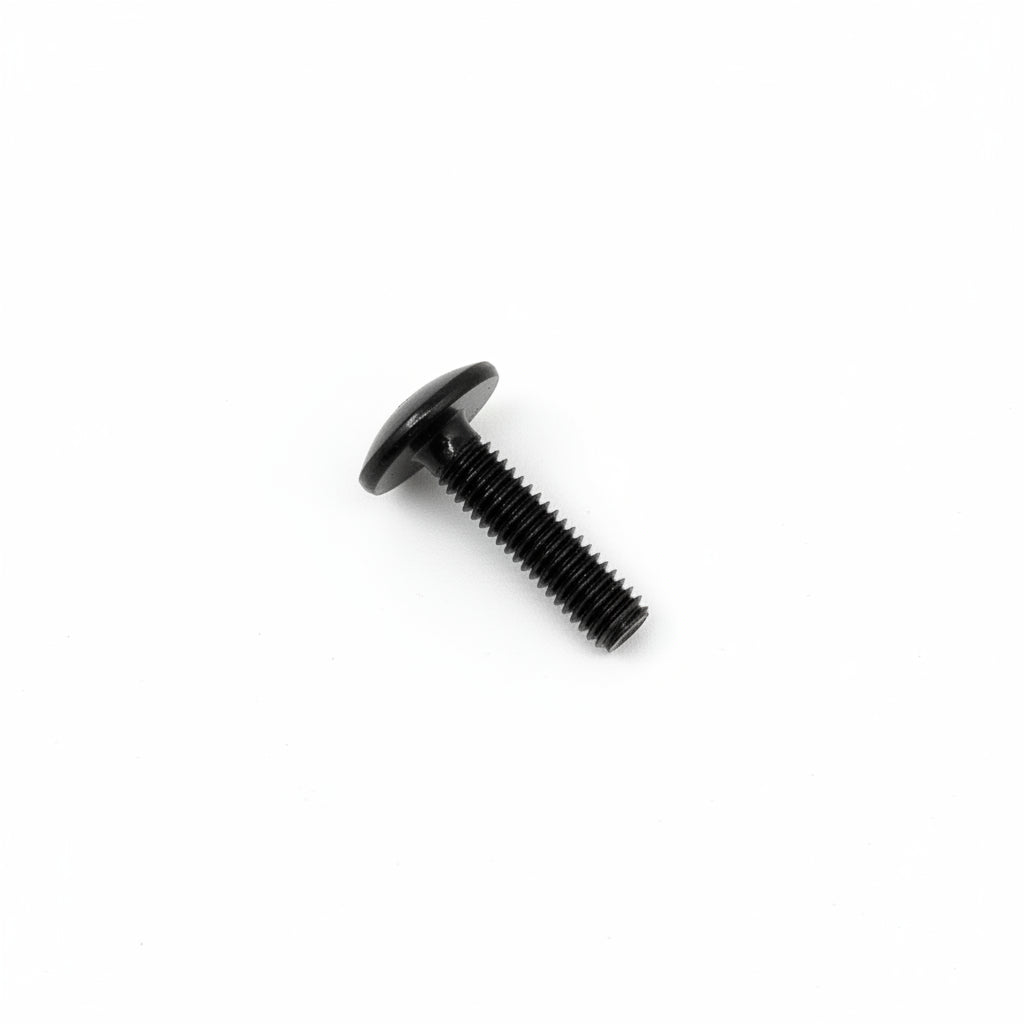 10098 Screw M6X25