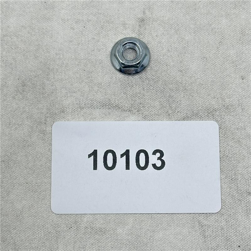 10103 Hex Nut M6