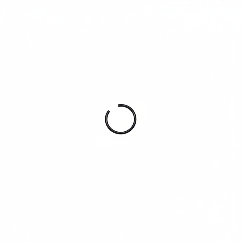 10112 Circlip 12