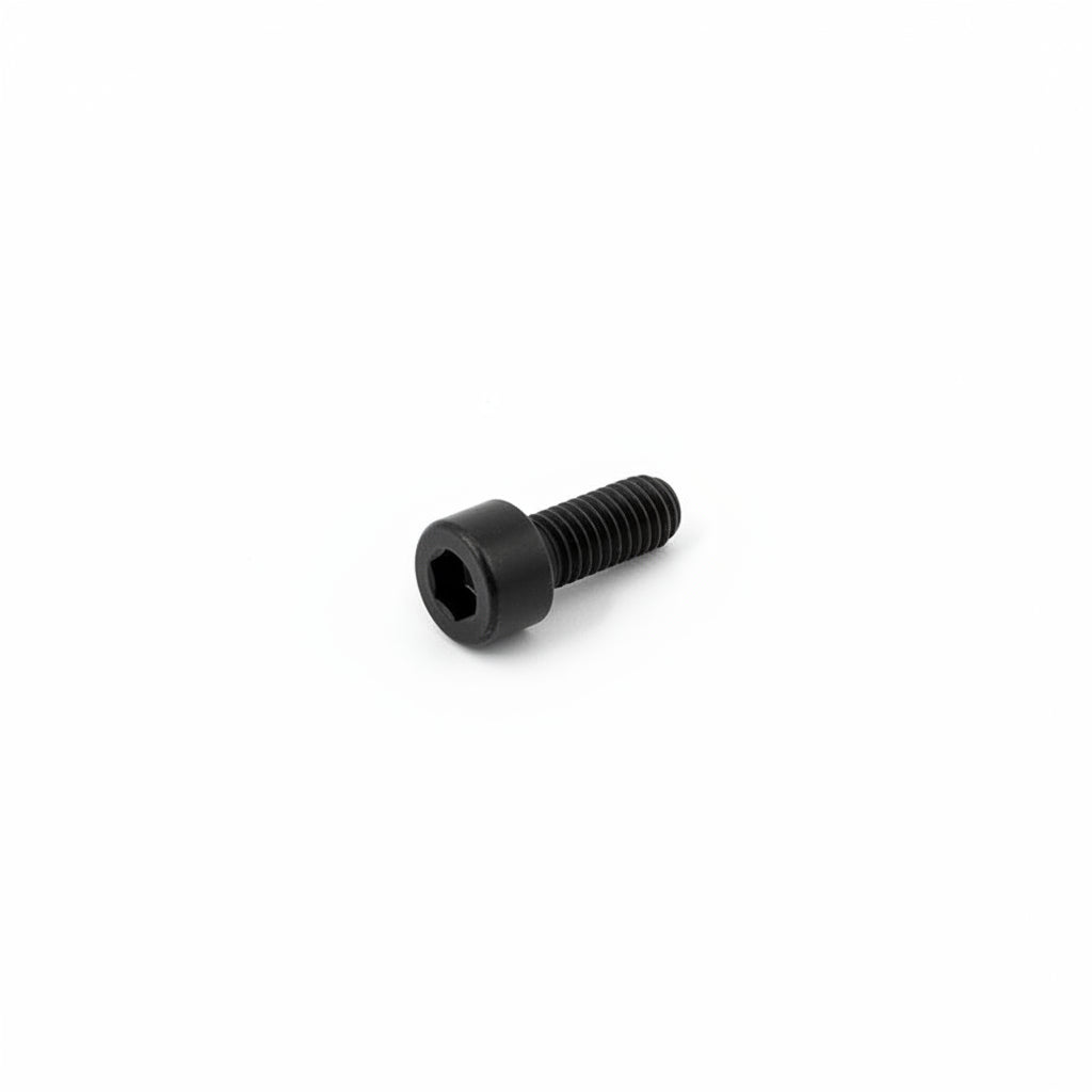 10135 Screw  M5×12