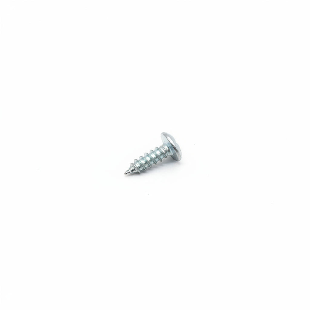 10178 SCREW ST4.2X13