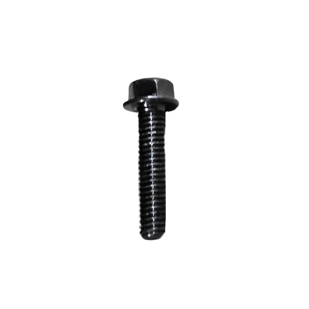 10187B M6 x 25mm Bolt