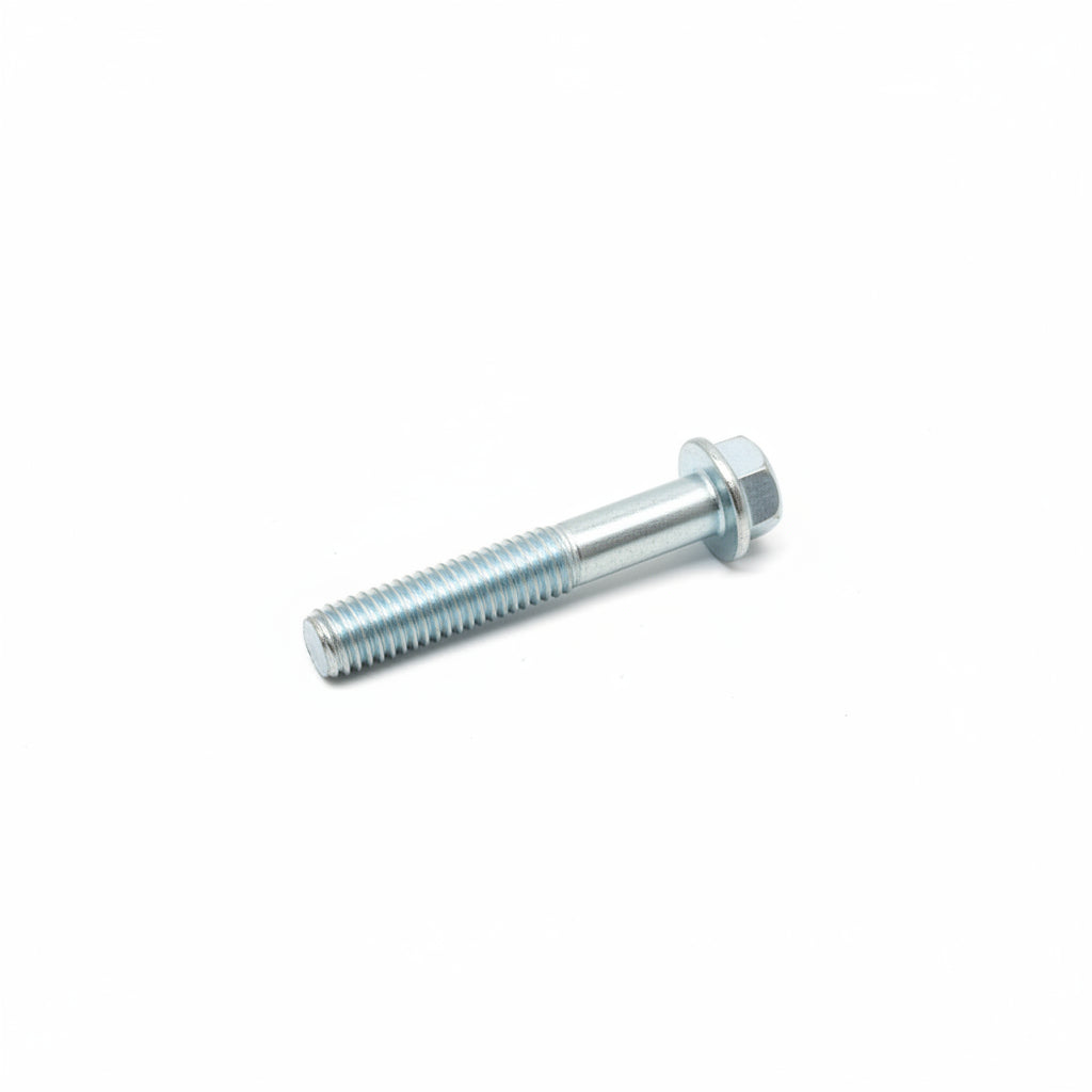 10187W Bolt M6X25