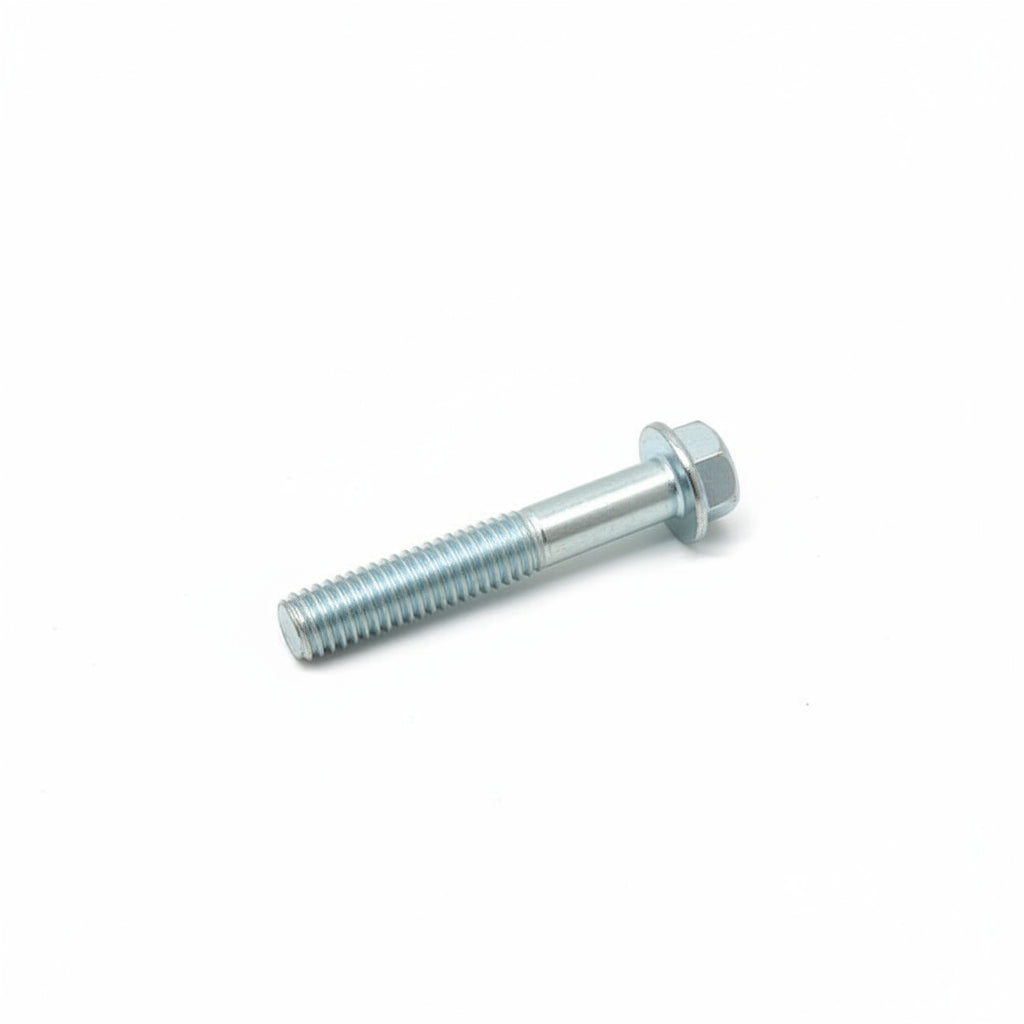 10187W Bolt M6X25