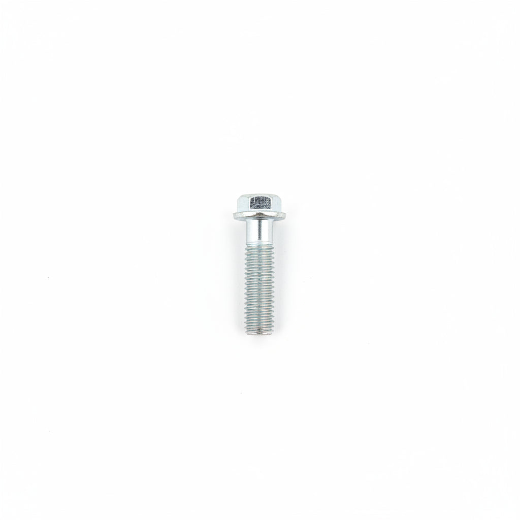 10187 Bolt M6×25