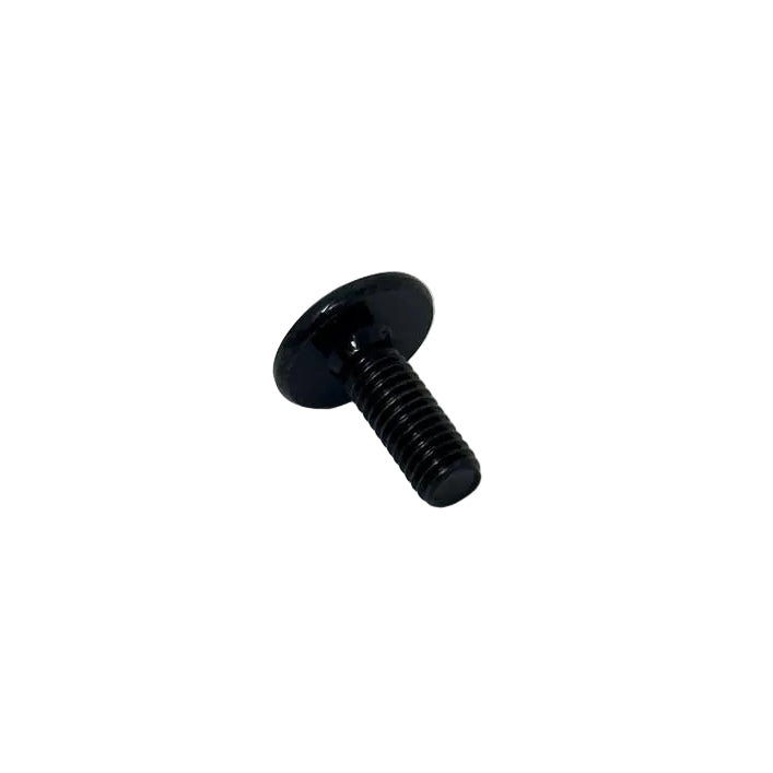 10420 SCREW  M6X16