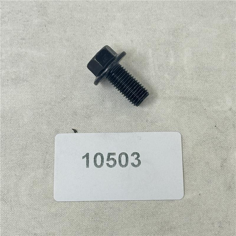10503 Bolt M10X1.25X25
