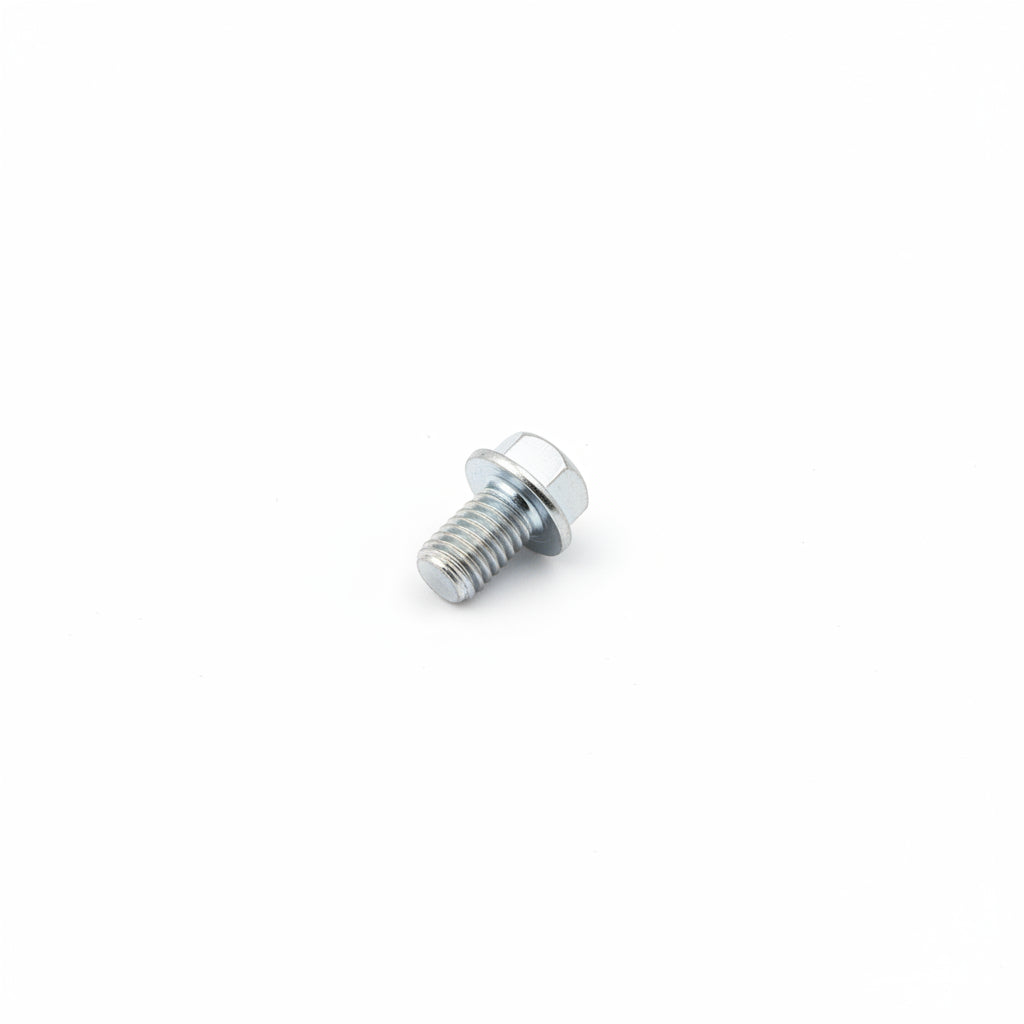 10716W Bolt M6×10