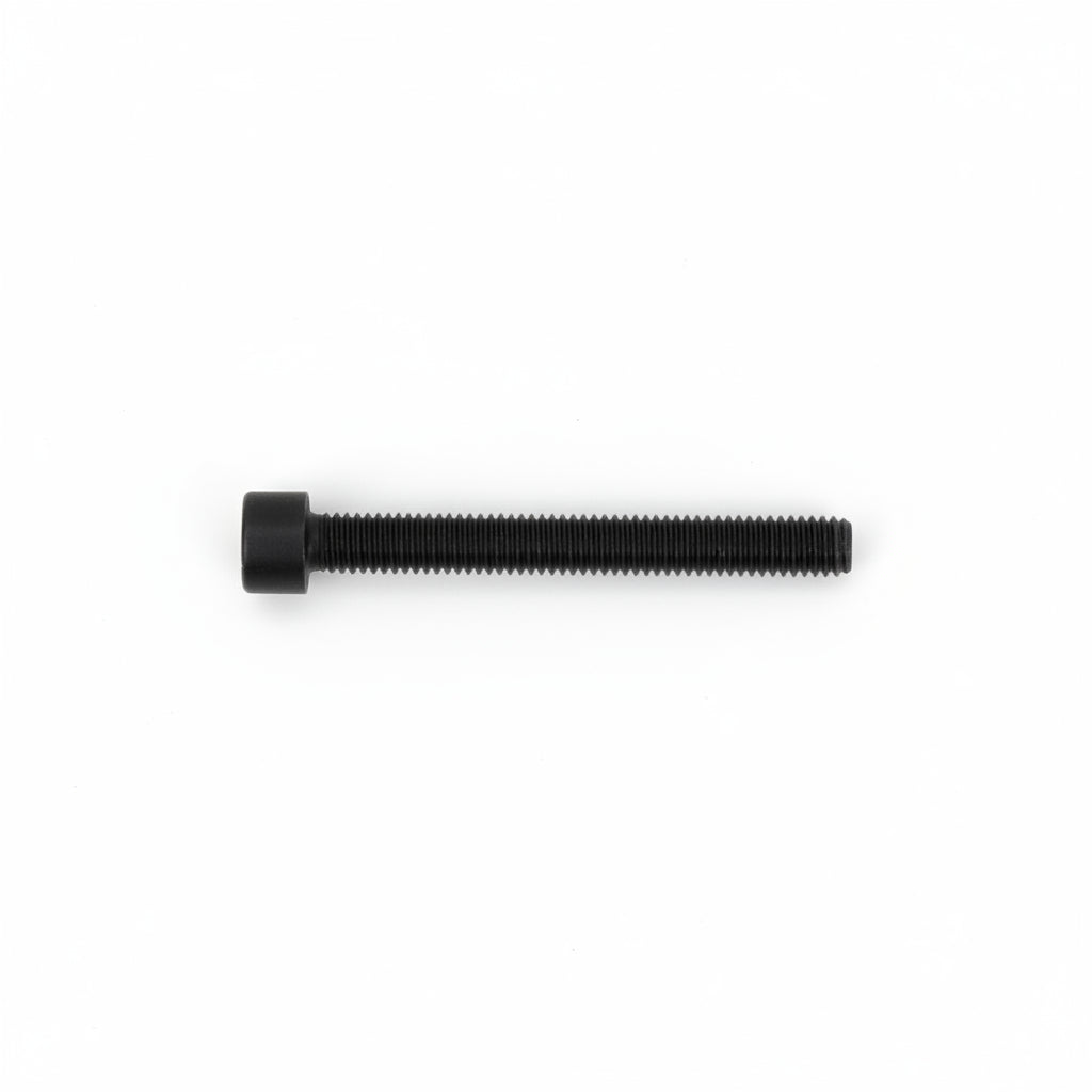 10748 Socket Head Cap Screws M6X55