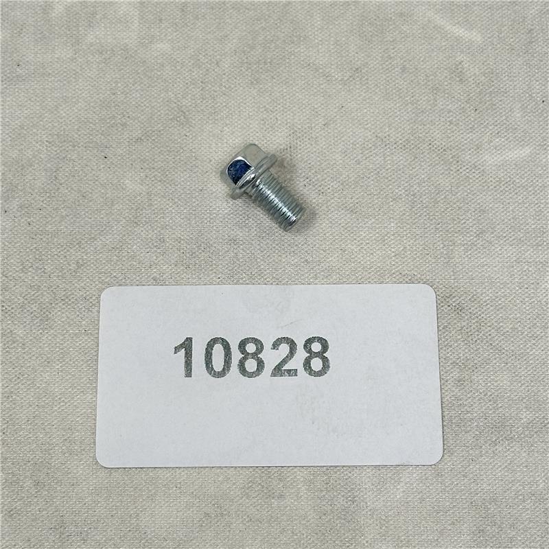 10828 BOLT M6X10