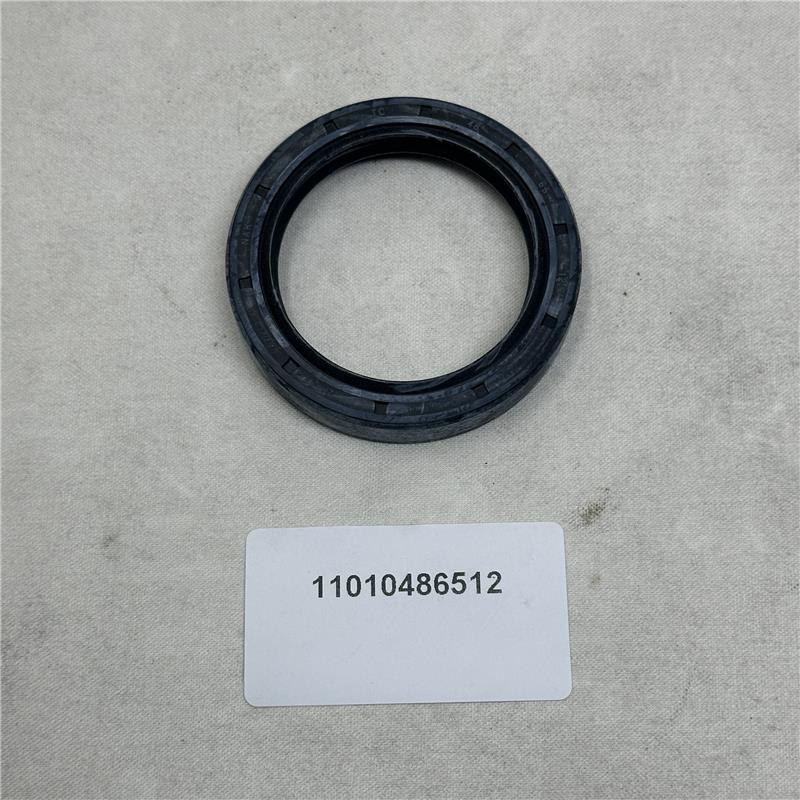 11010486512 Oil Seal