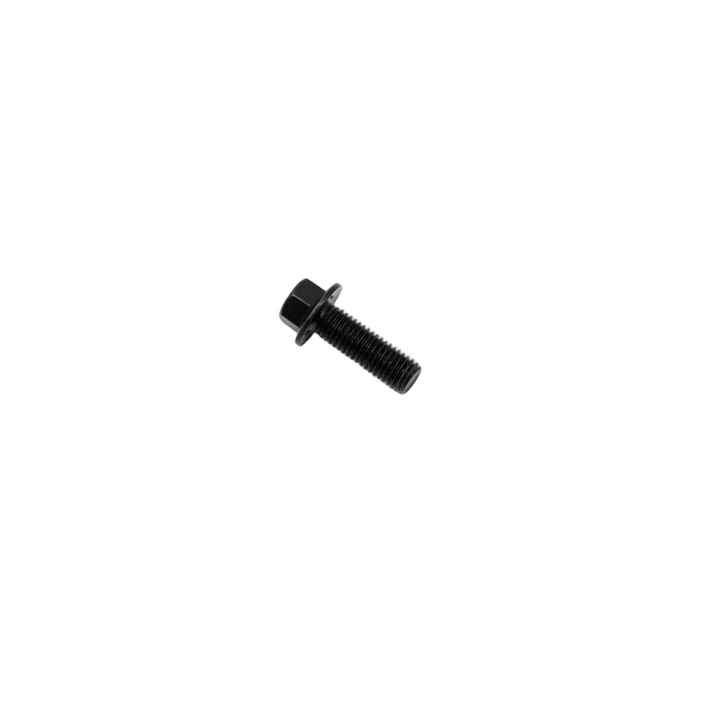 11102 BOLT M8X25
