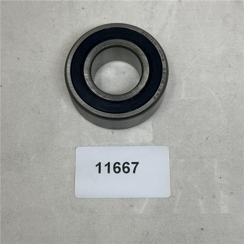 11667 Bearing 3206-2RZ