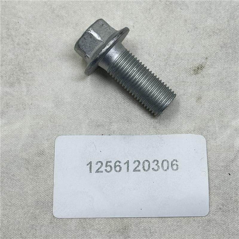 1256120306 Hex Flange Bolt M12 â€”30