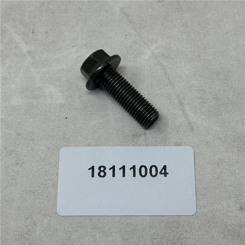 18111004 Bolt M10*30