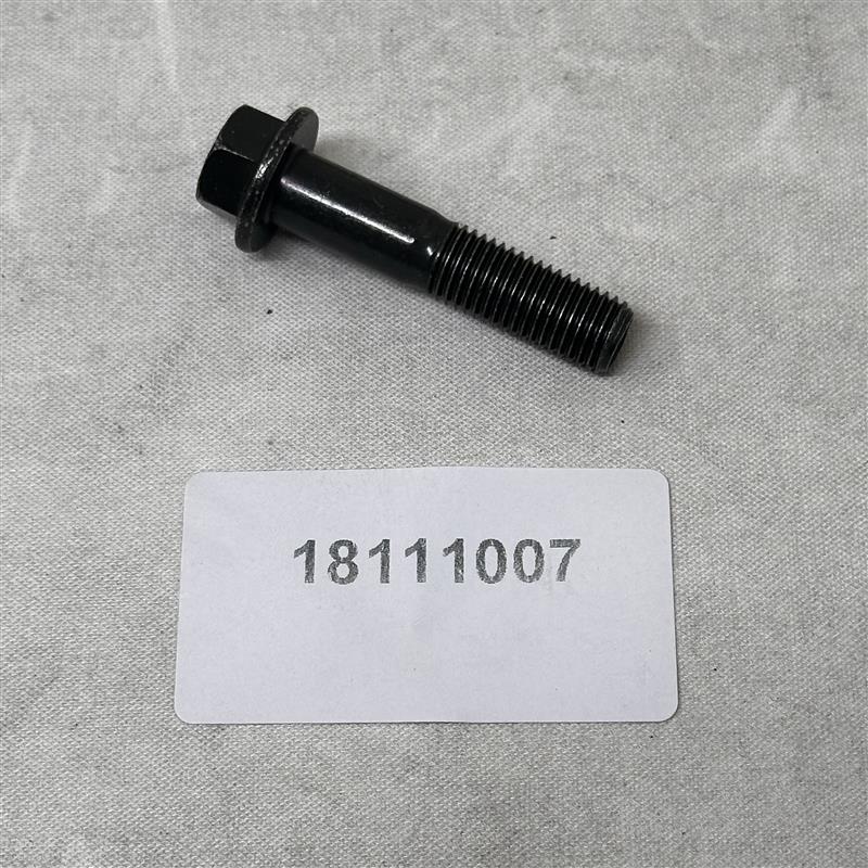 18111007 Bolt M10*45