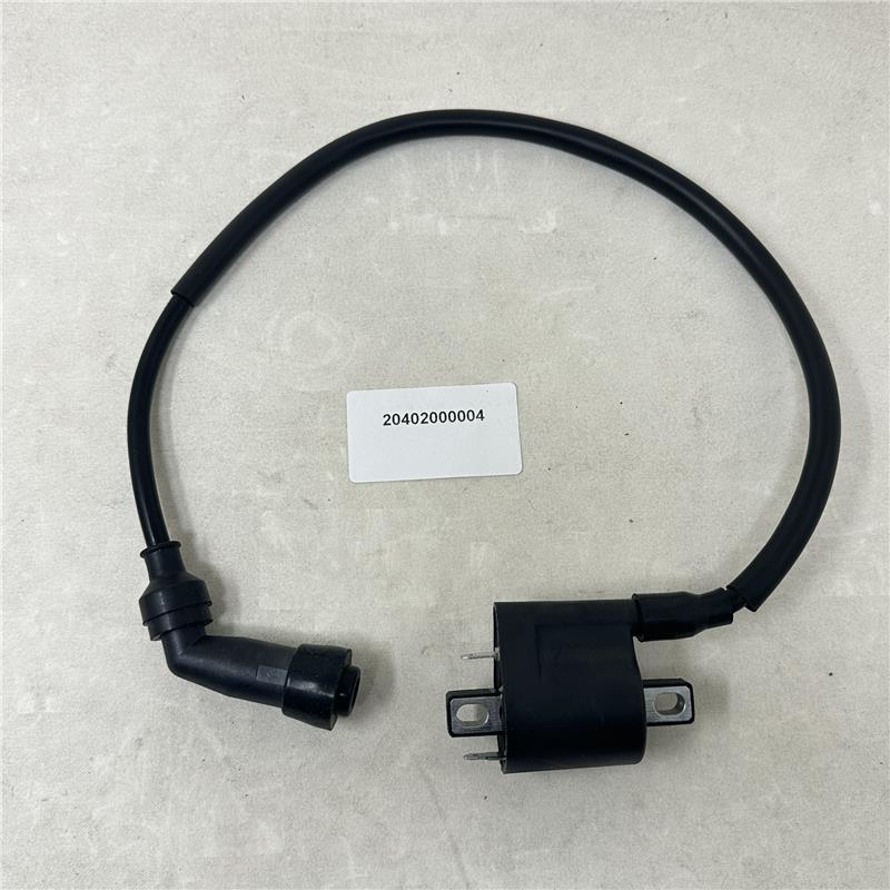 20402000004 Ignition Coil (High Voltage Pack)