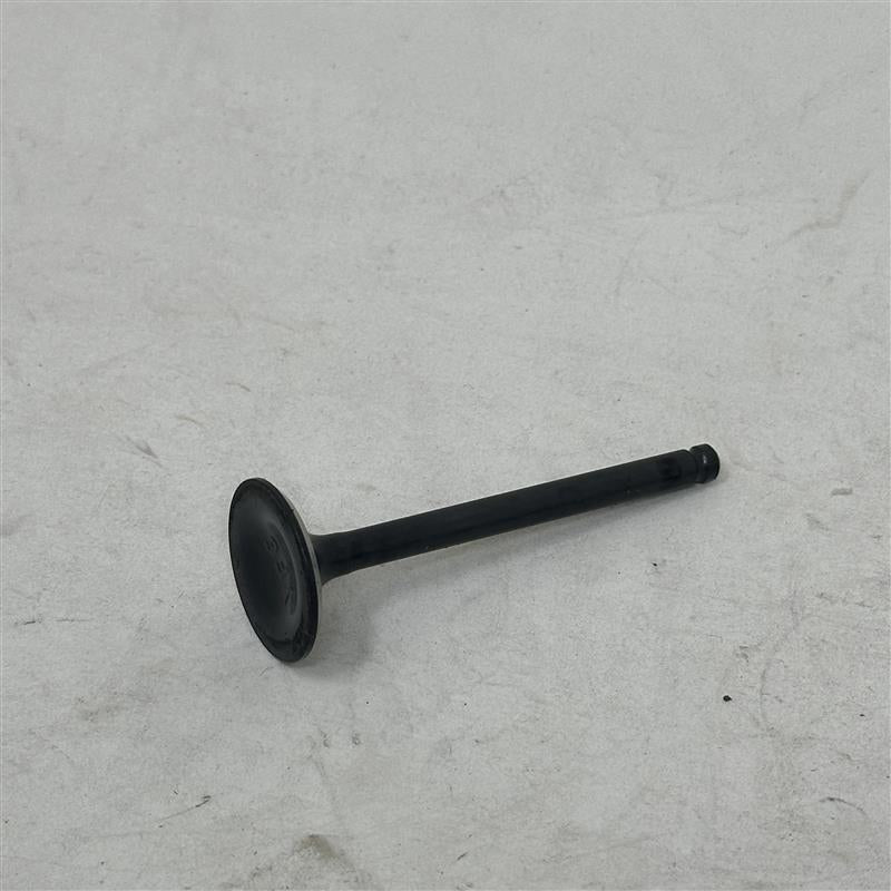 204F039 Exhaust Valve