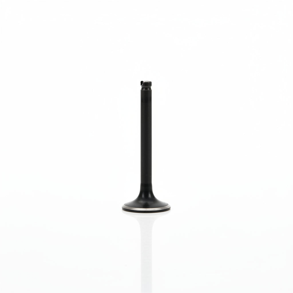204F039 Exhaust Valve
