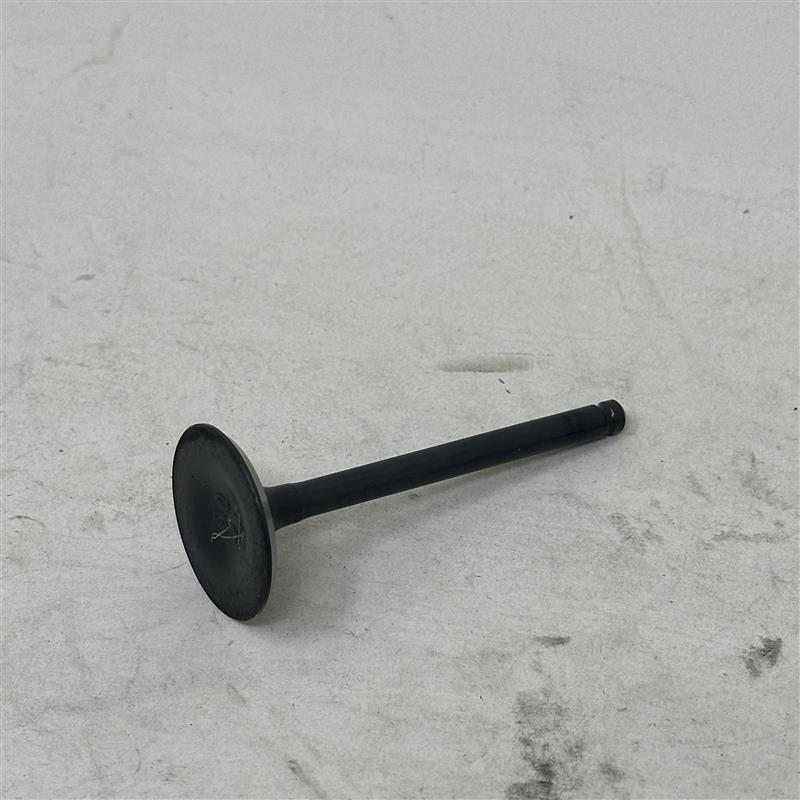 204F045 Intake Valve