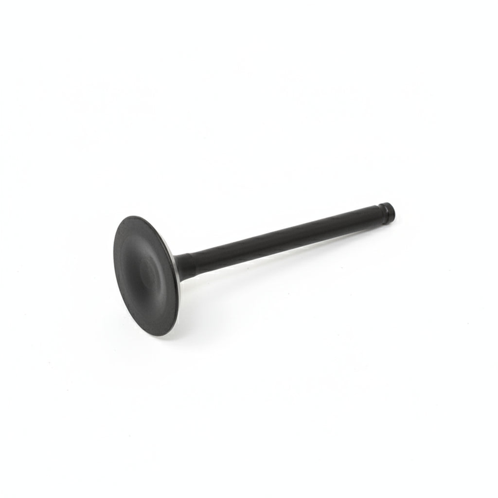 204F045 Intake Valve