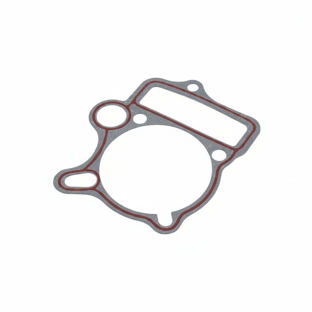 208B010 Cylinder Gasket