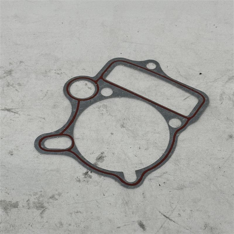 208B010 Cylinder Gasket