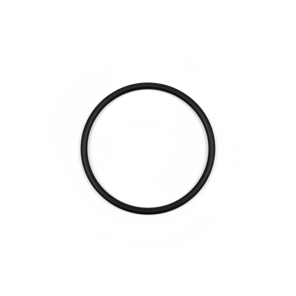 21040116901 O-Ring 61.5 â€”2.65