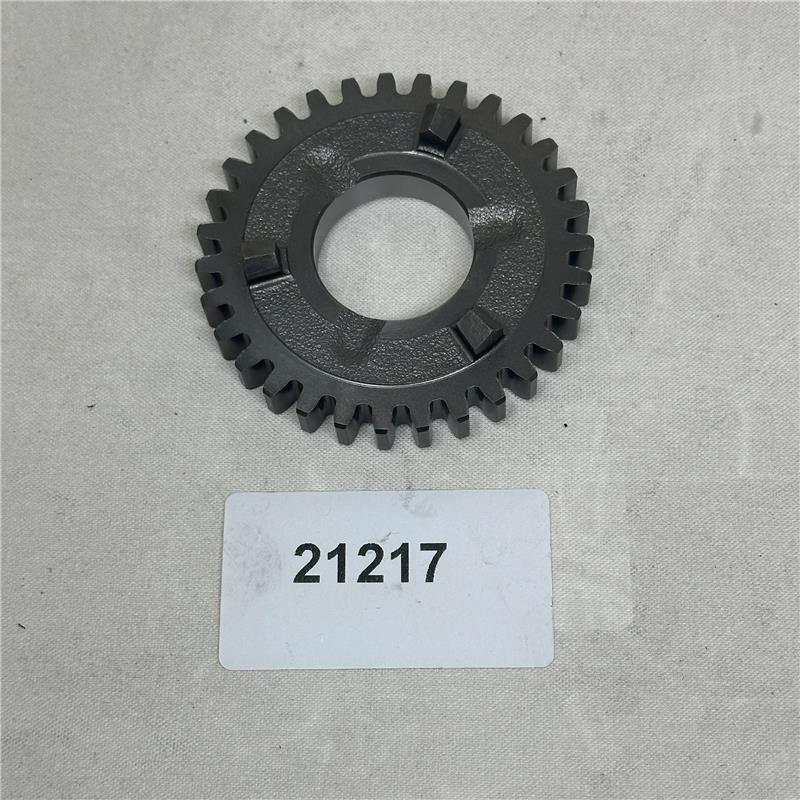 21217 Gear 31T