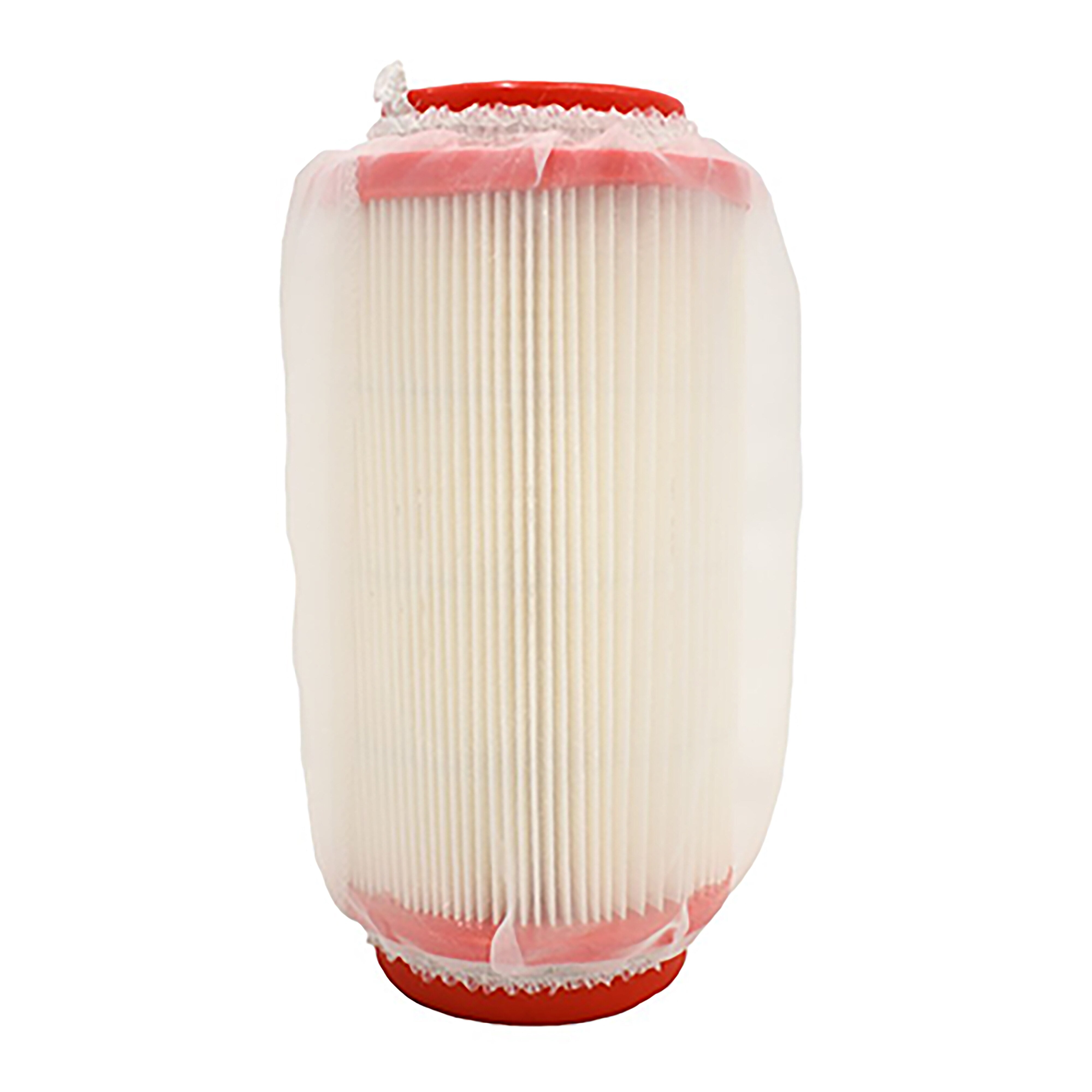 23212 T-Boss 410 Air Filter (Before 2020)