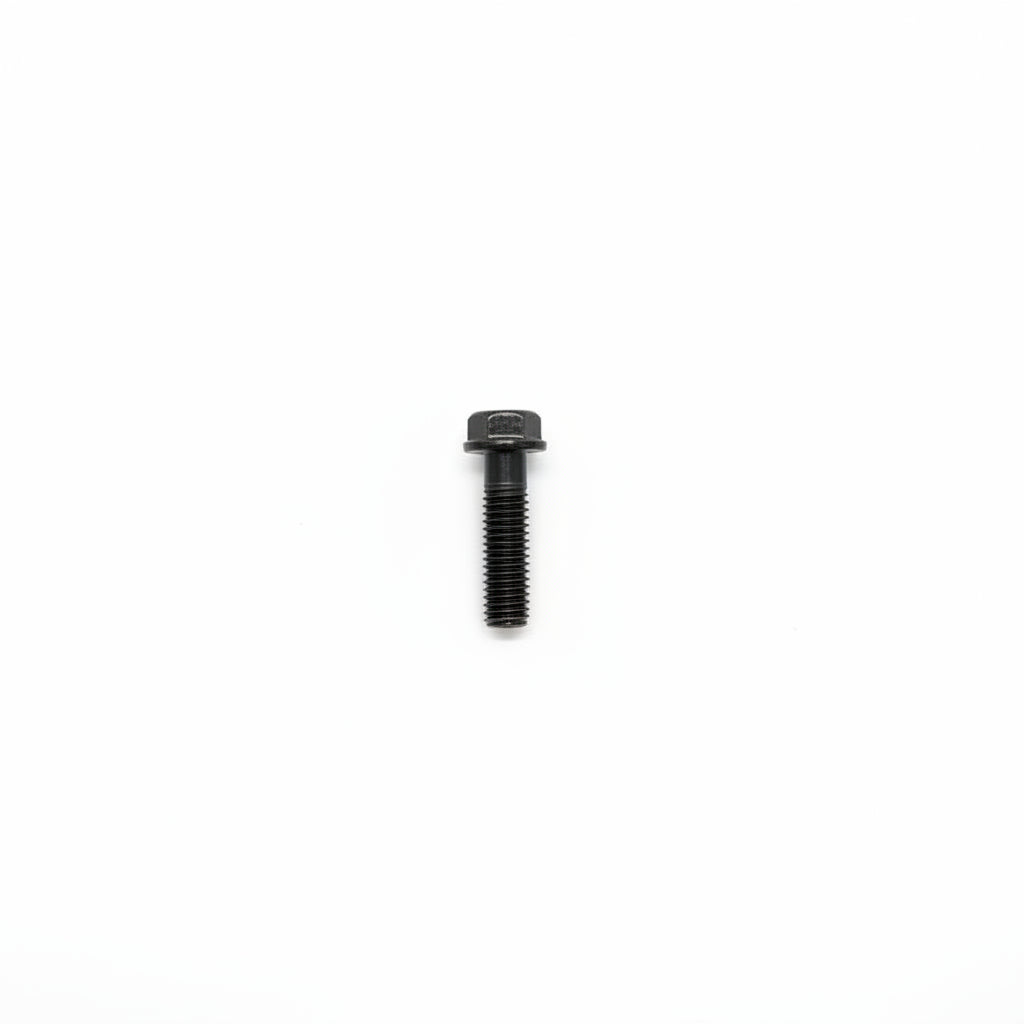 24107 Flange Bolt M6X25