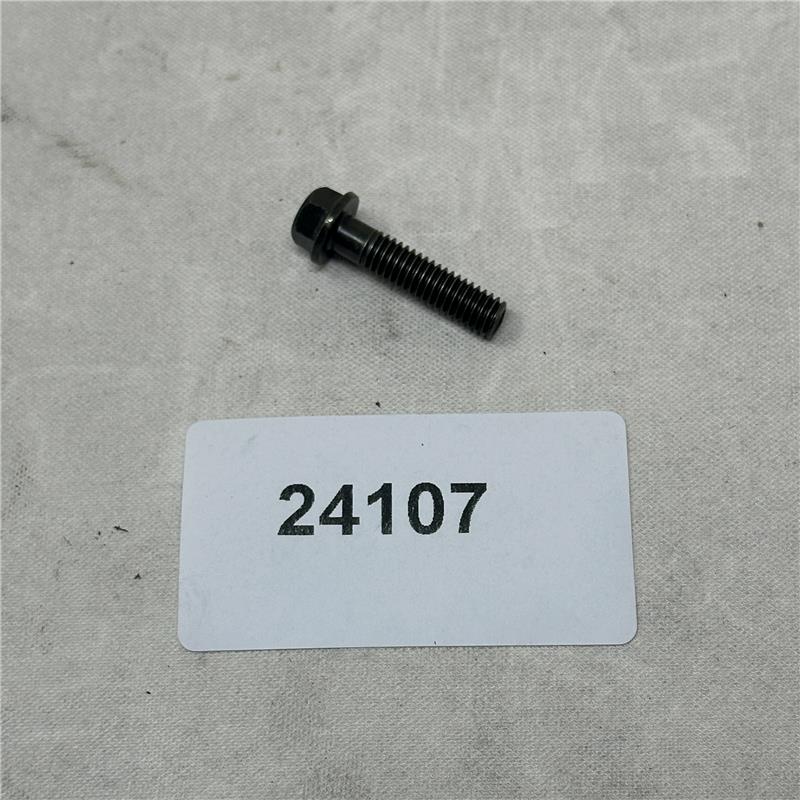 24107 Flange Bolt M6X25