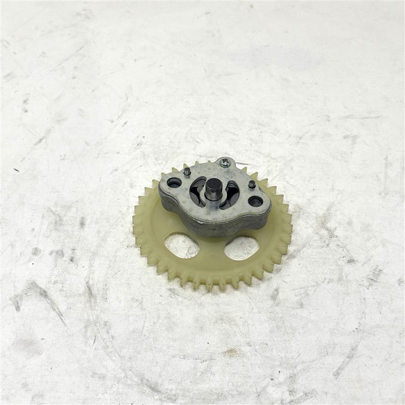 27245 Oil Pump Assy